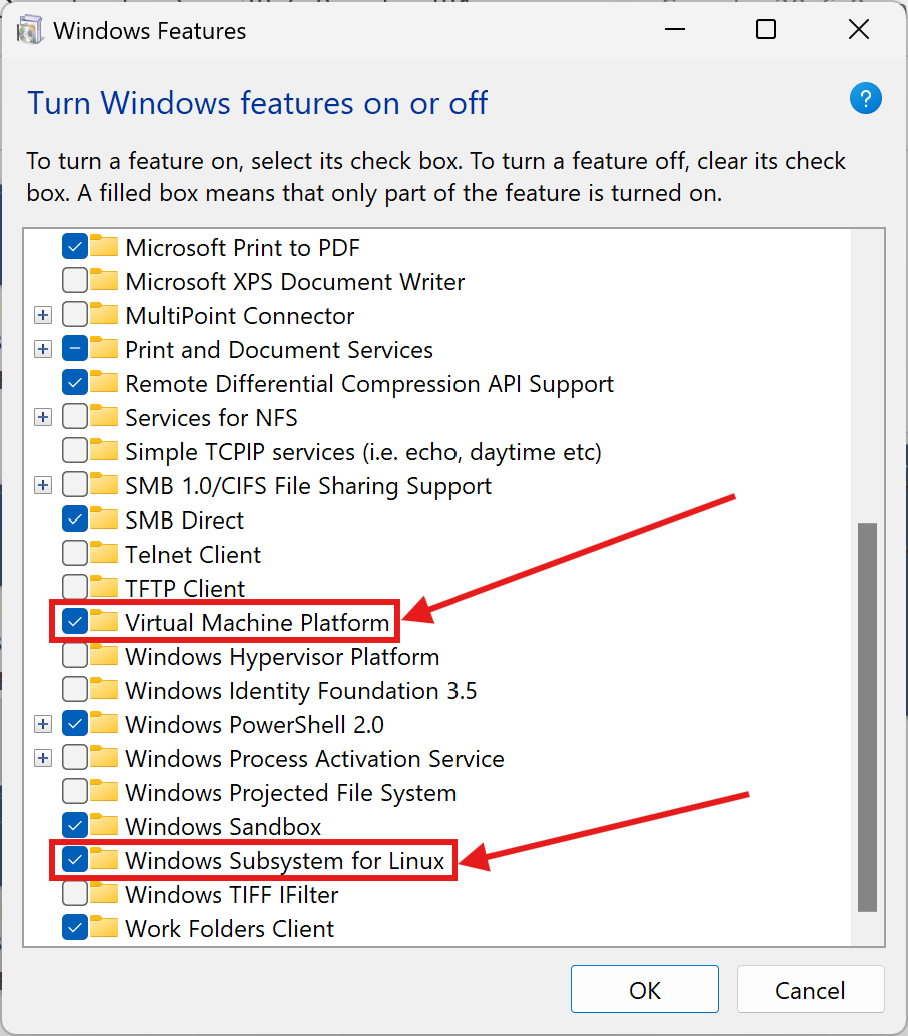 Check Windows features manually